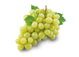 grape